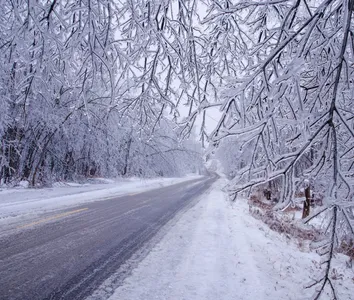 Icy road and trees covered in ice after an ice storm in Ontario, Canada. Winter storm